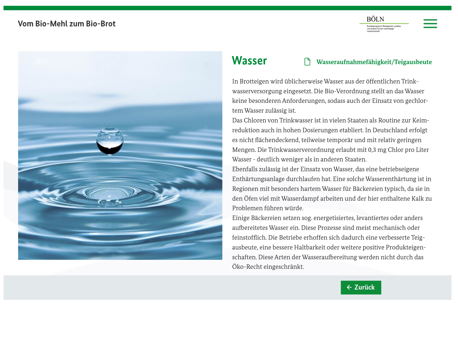 WBT – Screenshot 4